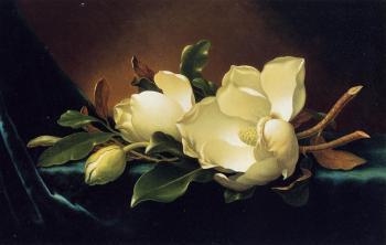 馬丁 約翰遜 赫德 Two Magnolias and a Bud on Teal Velvet